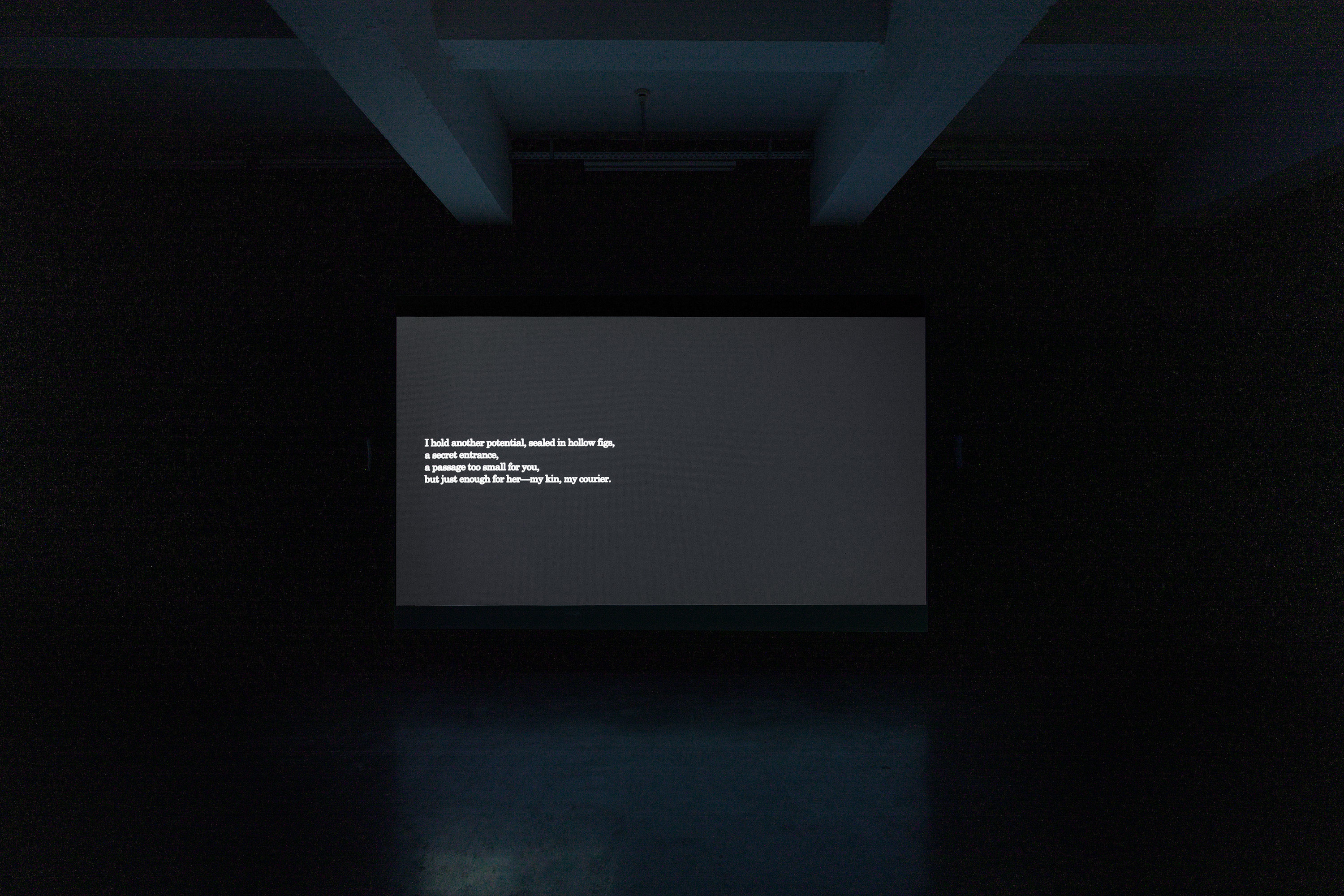 Ausstellung Bianca Baldi EMAF 39