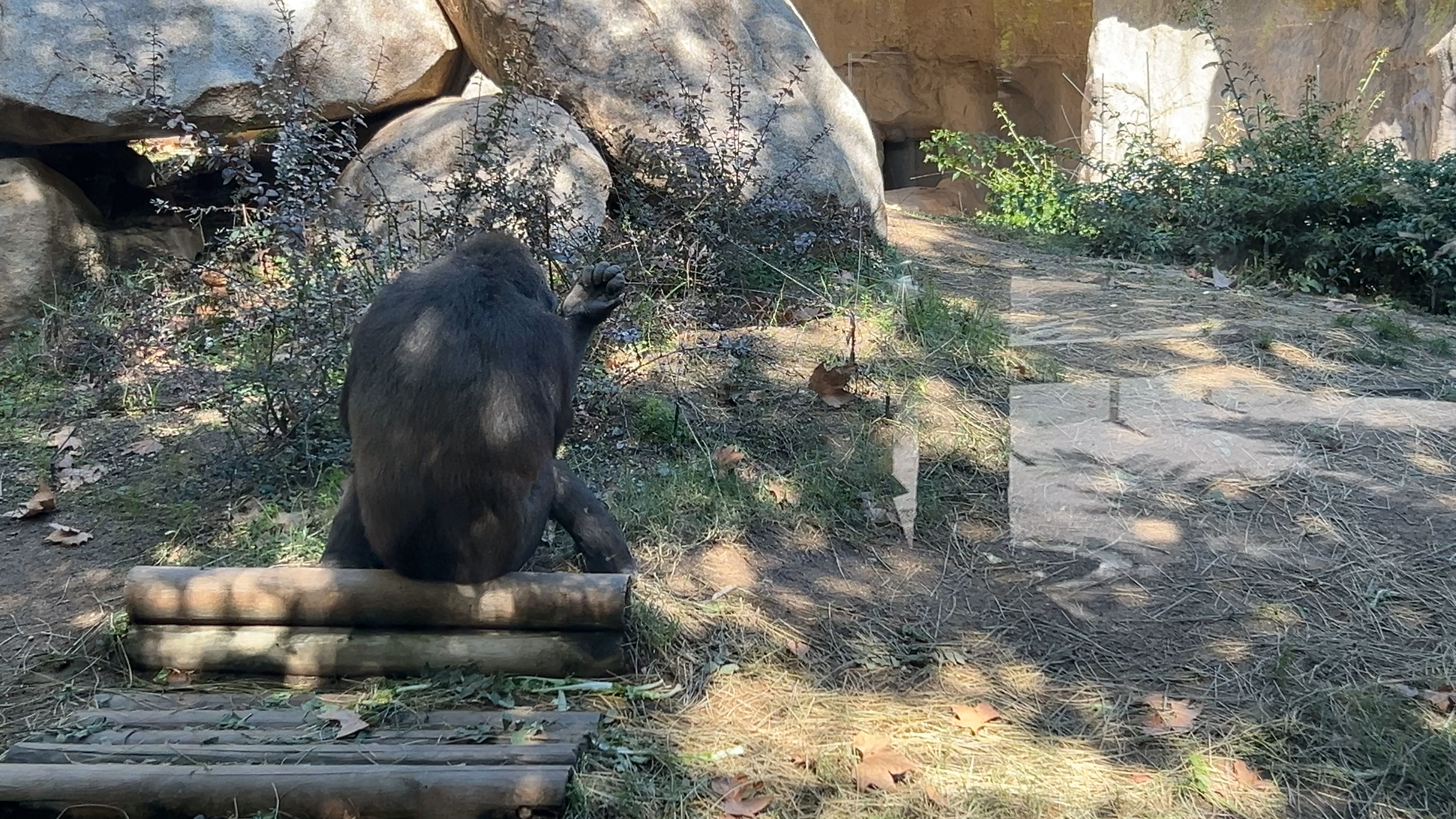 Ausstellung Sarah Reva Mohr EMAF 39