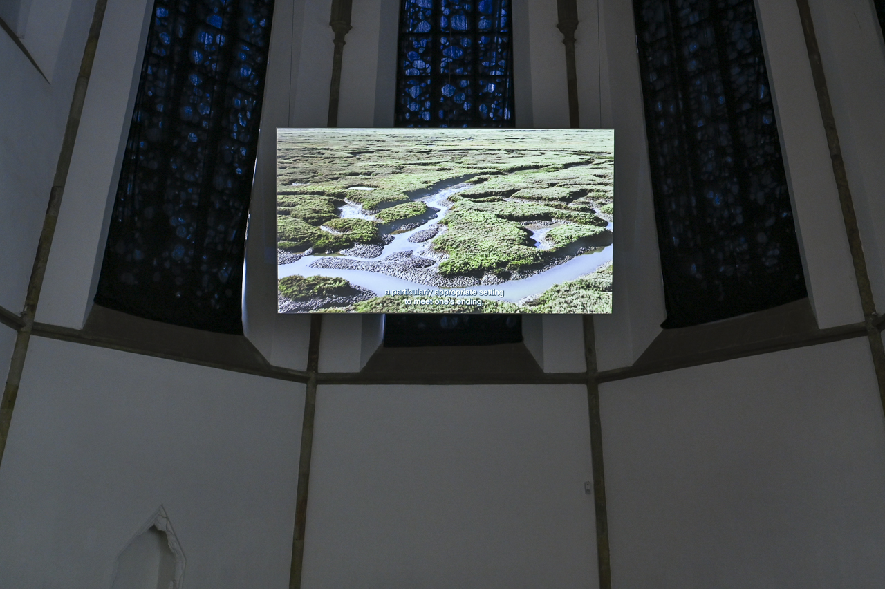 Sektionen_Ausstellung_Macedo_neu